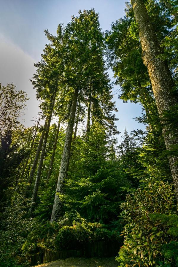 Hotel Smart Sinaia Zewnętrze zdjęcie