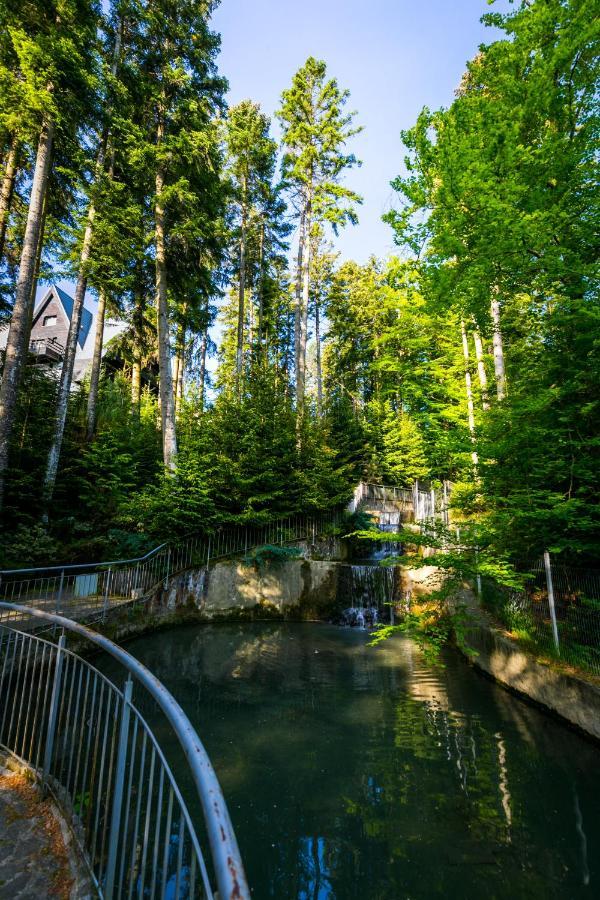 Hotel Smart Sinaia Zewnętrze zdjęcie